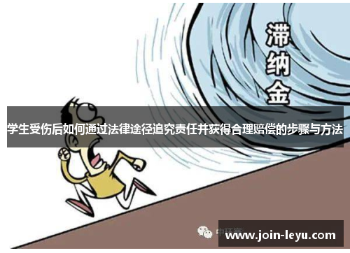 学生受伤后如何通过法律途径追究责任并获得合理赔偿的步骤与方法