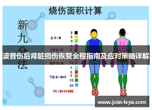 波普伤后肾脏损伤恢复全程指南及应对策略详解