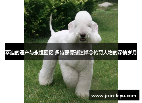 泰迪的遗产与永恒回忆 多特蒙德球迷悼念传奇人物的深情岁月