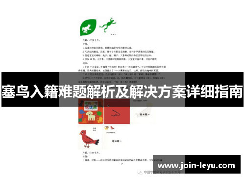 塞鸟入籍难题解析及解决方案详细指南