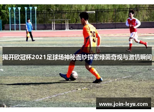 揭开欧冠杯2021足球场神秘面纱探索绿茵奇观与激情瞬间