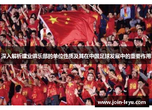 深入解析建业俱乐部的单位性质及其在中国足球发展中的重要作用