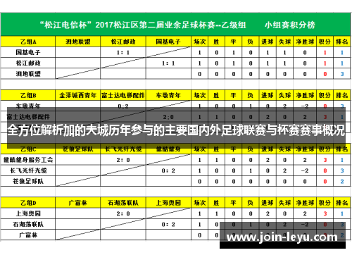 全方位解析加的夫城历年参与的主要国内外足球联赛与杯赛赛事概况